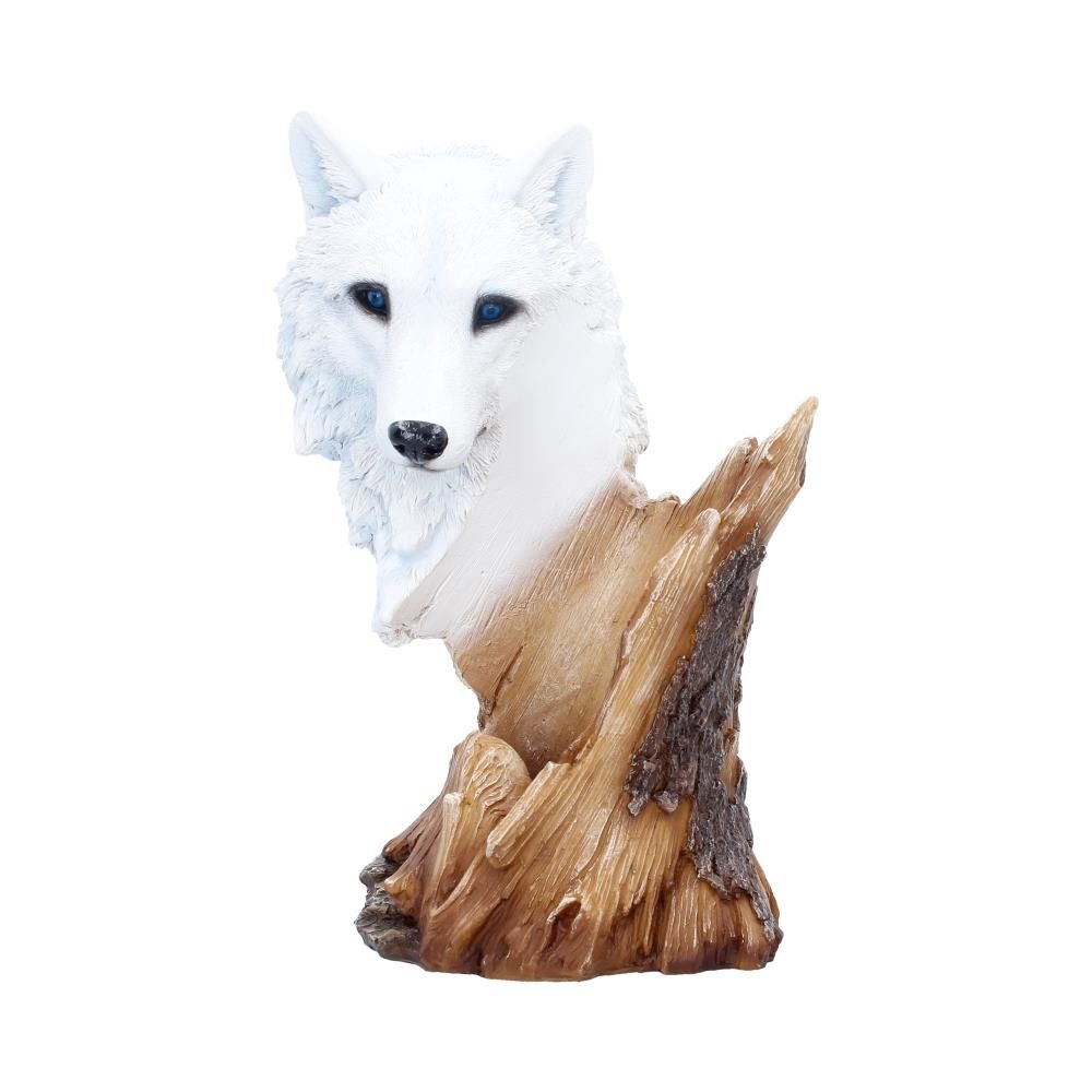 Nemesis Now - Pour of the Wild Beeld/figuur - Multicolours